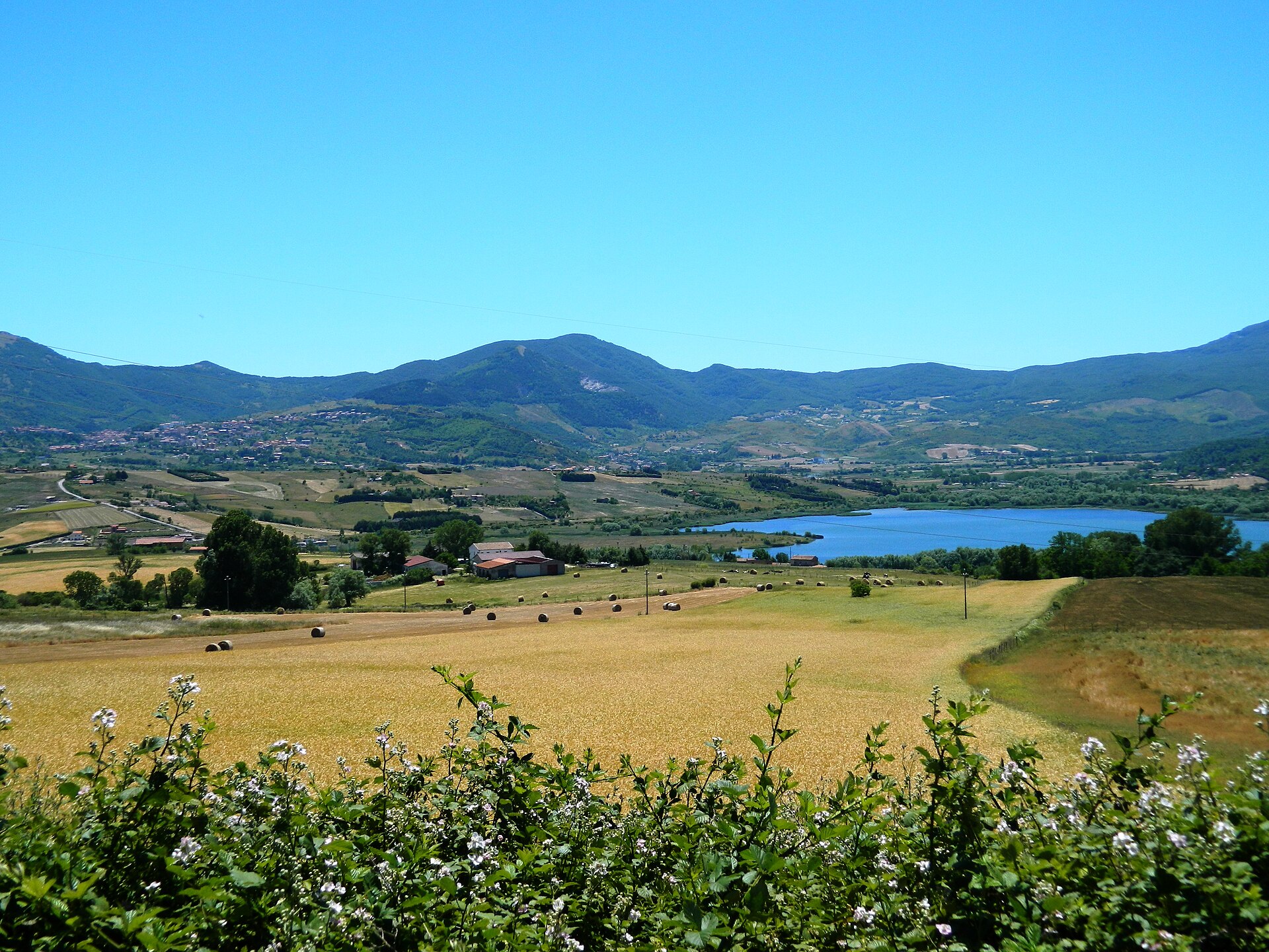 Riserva regionale Lago Pantano di Pignola