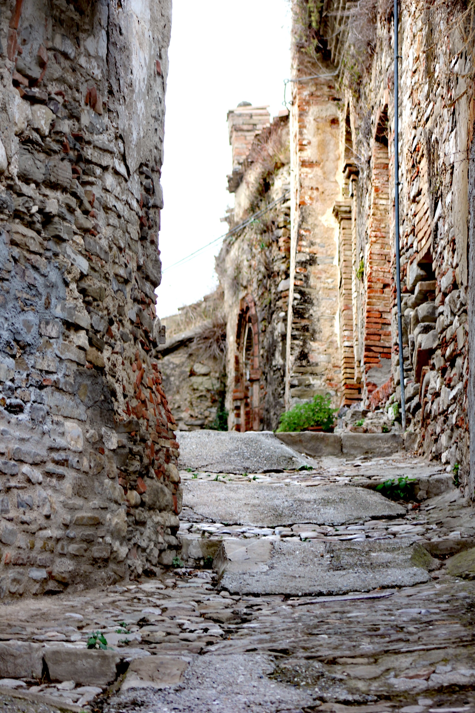 Castello